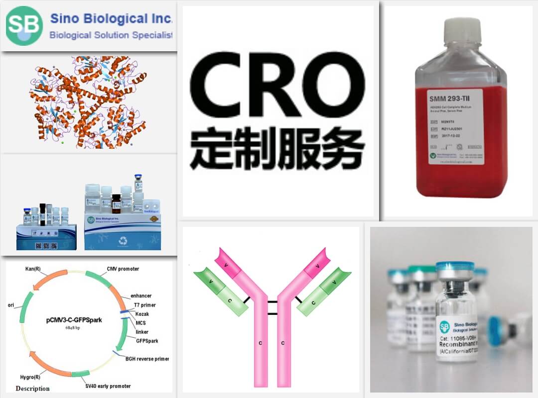 義翹神州北京一級代理商,銷(xiāo)售義翹神州重組蛋白、基因、培養基等