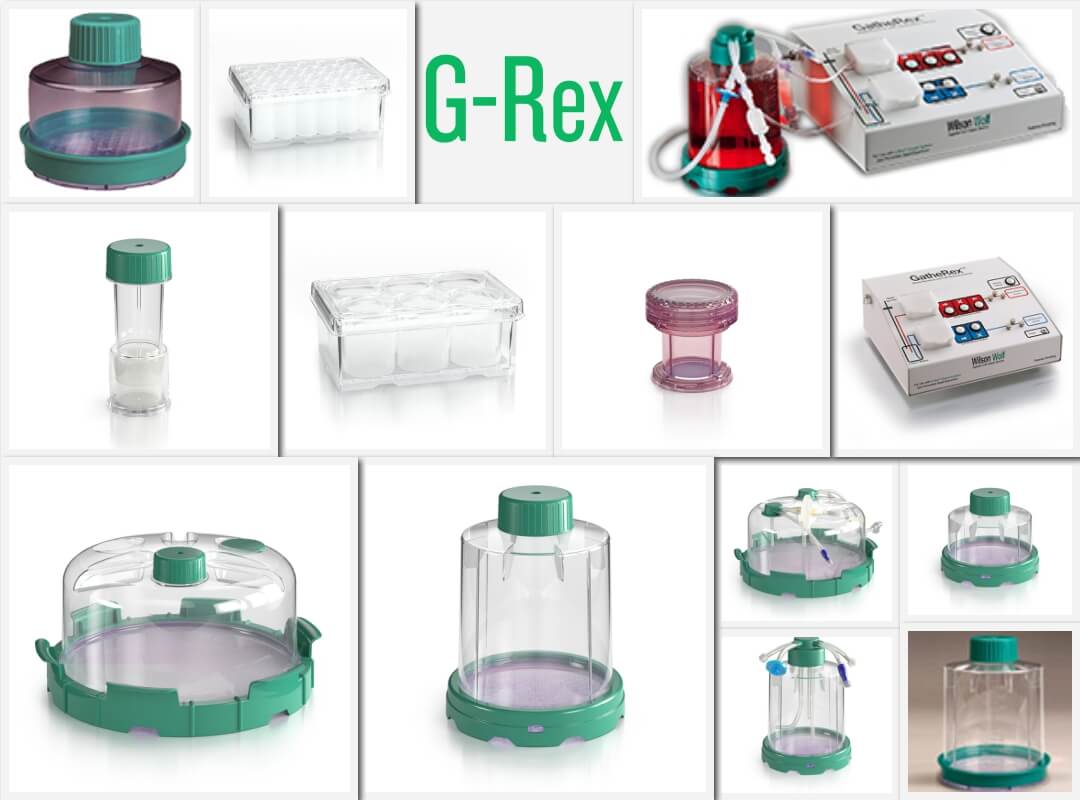 G-RexBƿЇҴ,F؛N(xio)G-Rex͸ԼBƿ