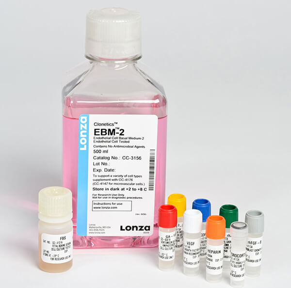原代人臍靜脈內皮細胞及培養基 Human Umbilical Vein Endothelial Cells Medium,LONZA人原代細胞中國一級代理商