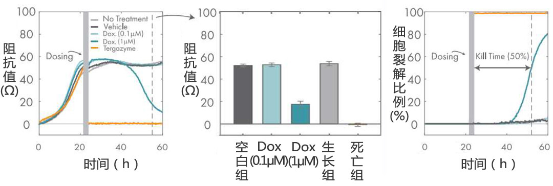 Axion Biosystems MAESTRO Z實(shí)時(shí)無(wú)標記細胞分析儀
