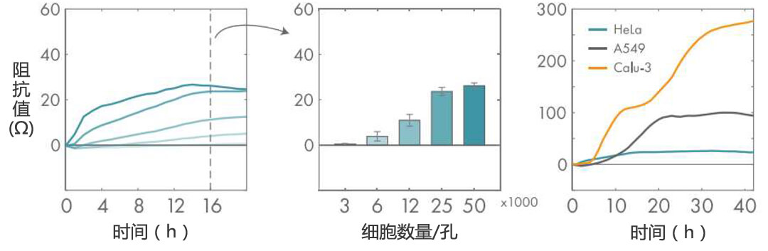 Axion Biosystems MAESTRO Z實(shí)時(shí)無(wú)標記細胞分析儀