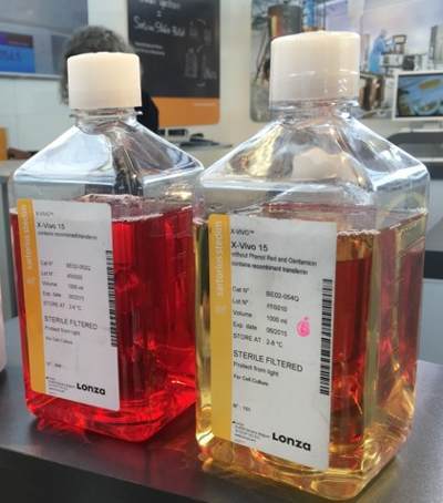 lonza X-VIVO 15 免疫細胞無(wú)血清培養基