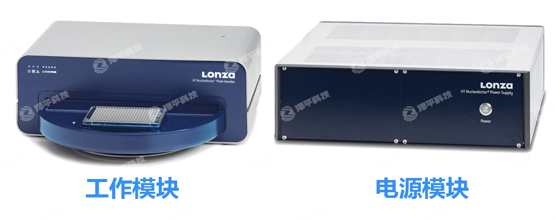 Lonza Nucleofector 384׸ͨDȾϵyԴģKģK ƽ
