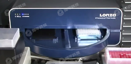 Lonza Nucleofector 384׸ͨDȾϵy ƽ