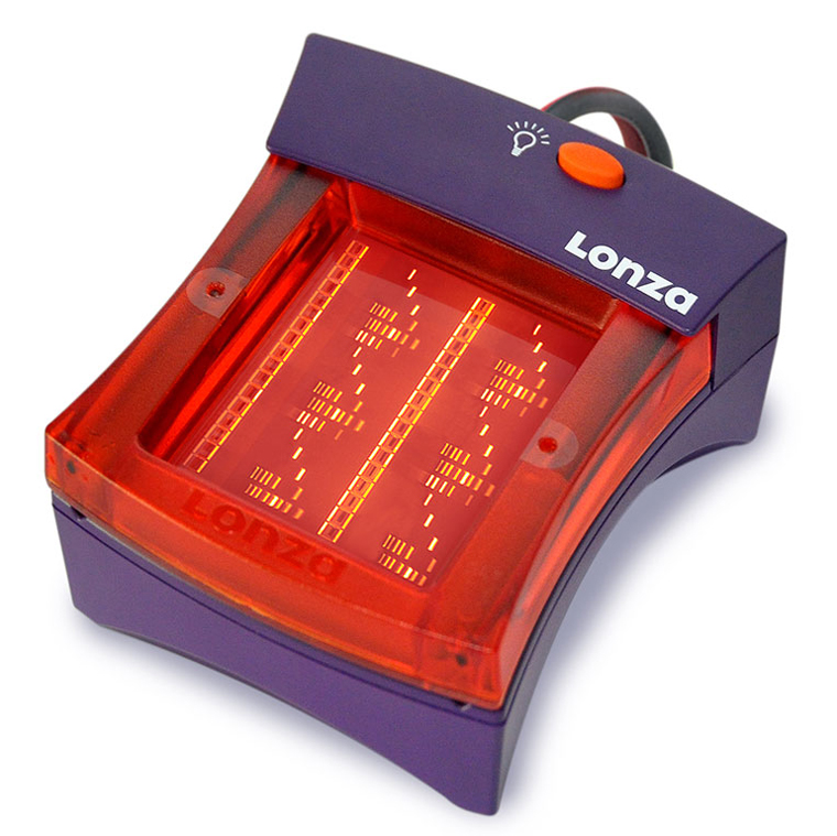 lonza flashgel閃膠系統電泳槽
