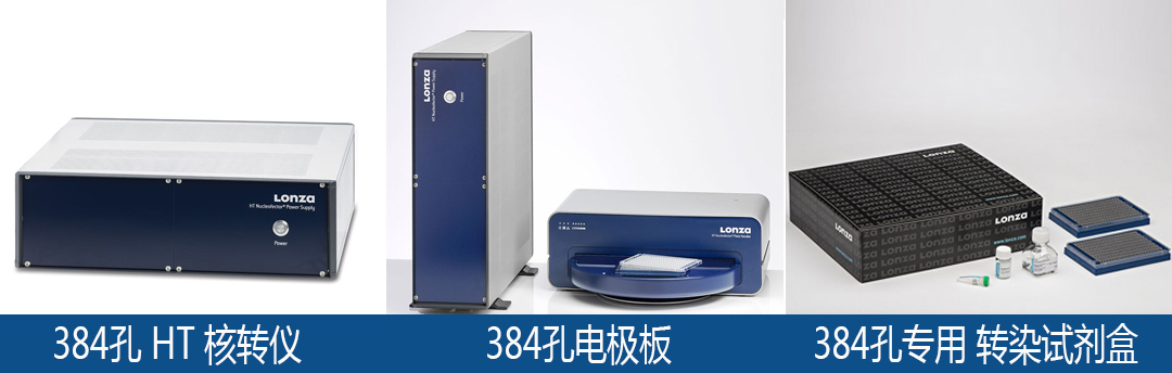 lonza Nucleofector 384ģKDȾԇ