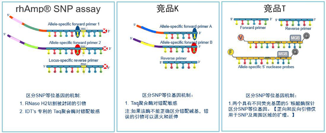 IDT rhAmp SNP基因分型系統優(yōu)勢