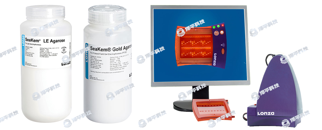 Lonza֬lonza seakem le agarose WzϵyLonza FlashGel System ƽ