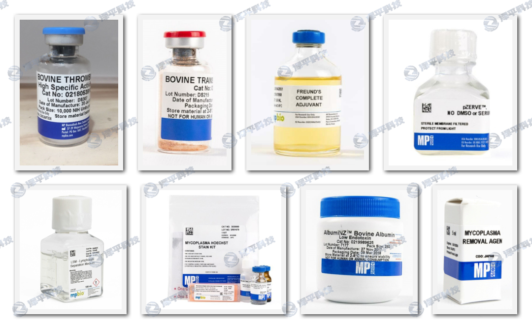 MP Biomedicalsһ Ba(chn)Ʒ ƽ