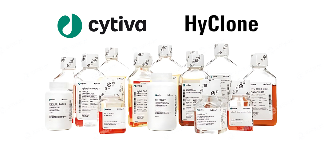 ¡Hyclone̥ţѪBһ̱ƽ