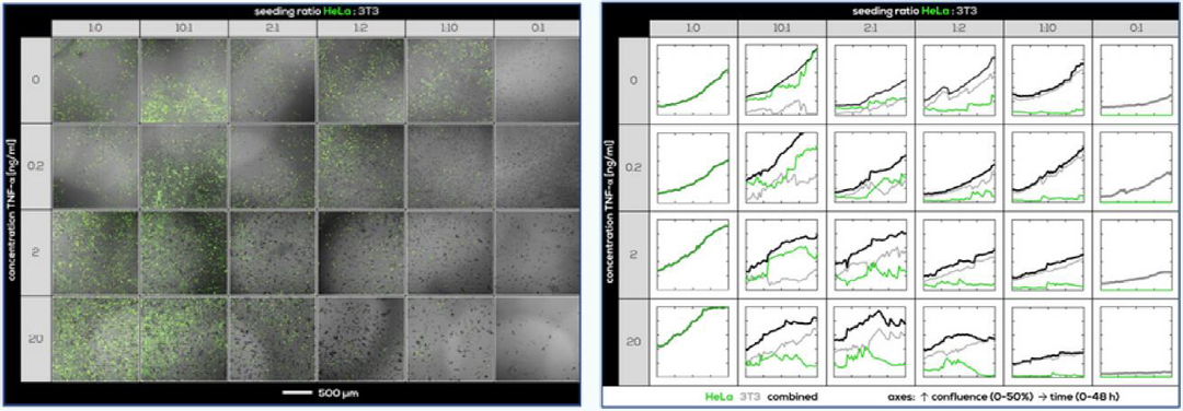 Axion CytoSMART OmniȫԄ(dng)ϵyB