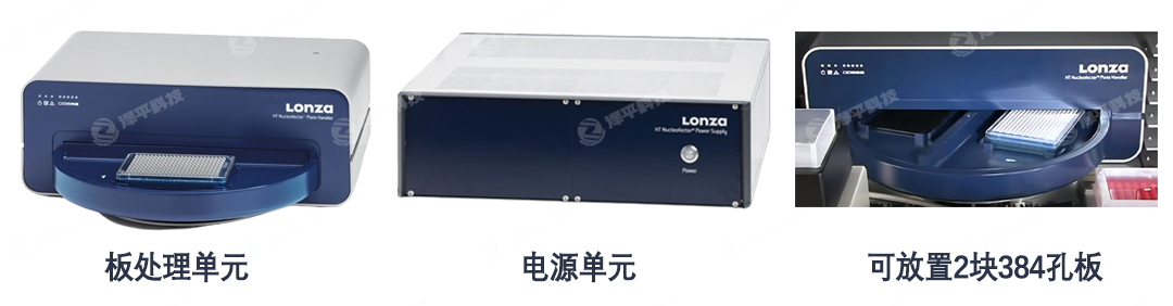 Lonza 384孔電轉儀 代理商北京澤平