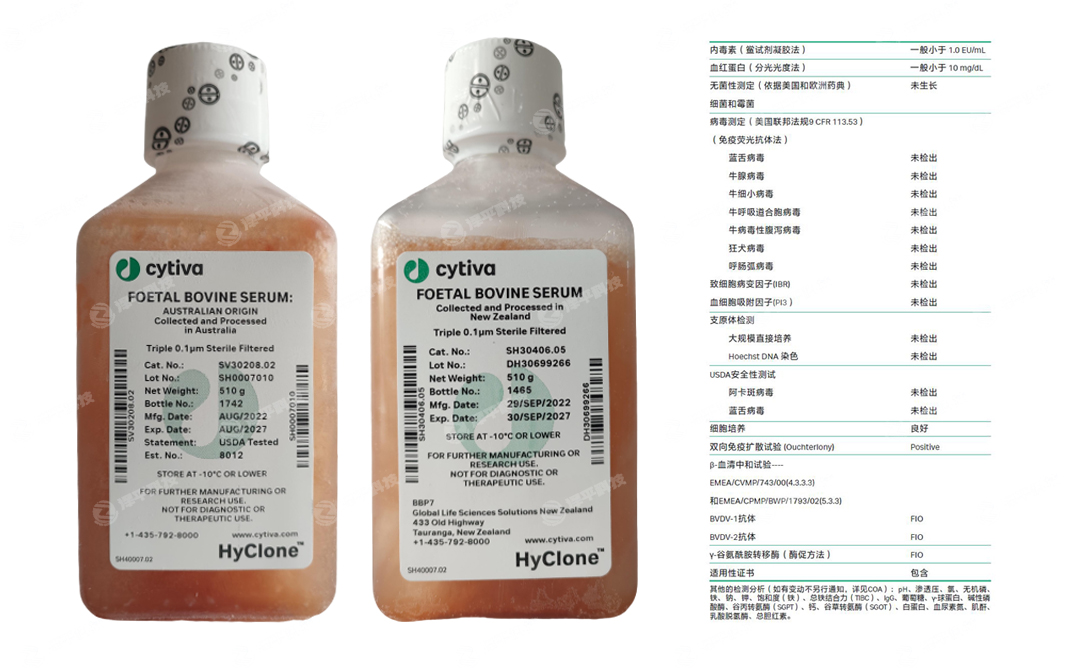 ¡Hyclone̥ţѪFBS ̱ƽ