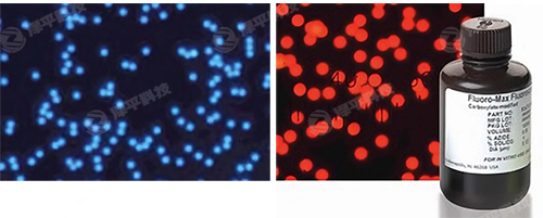 Thermo Fluoro-Maxɹ΢̱ƽ