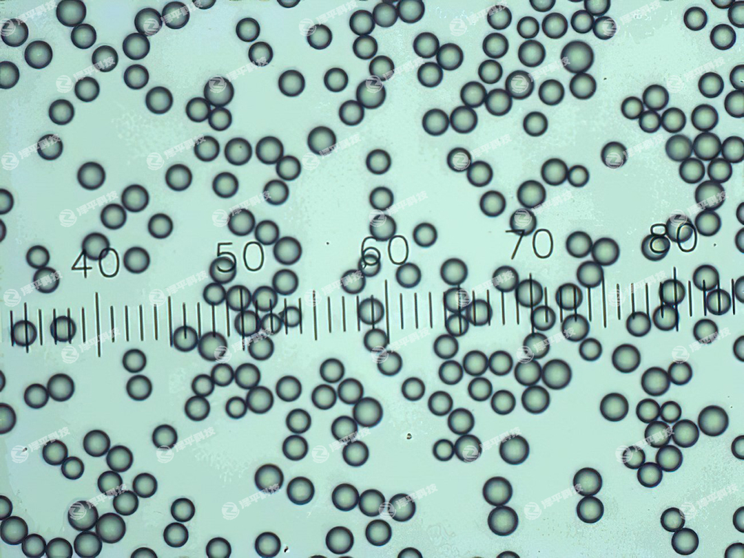 Thermo Scientific 4DϵИ˜ʸ΢ ƽ