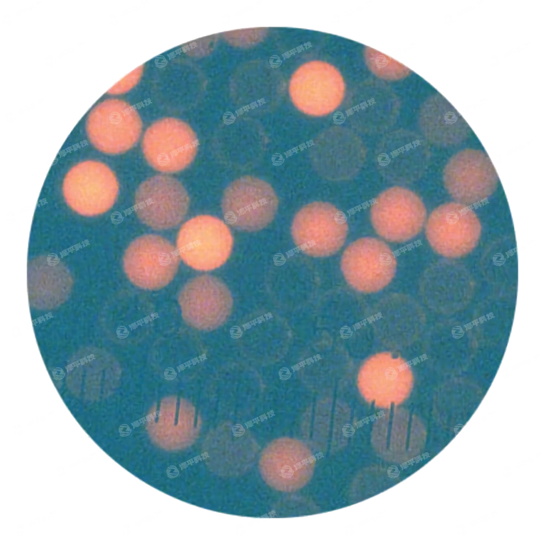 Thermo Scientific Cyto-CalʽУ΢ ƽ