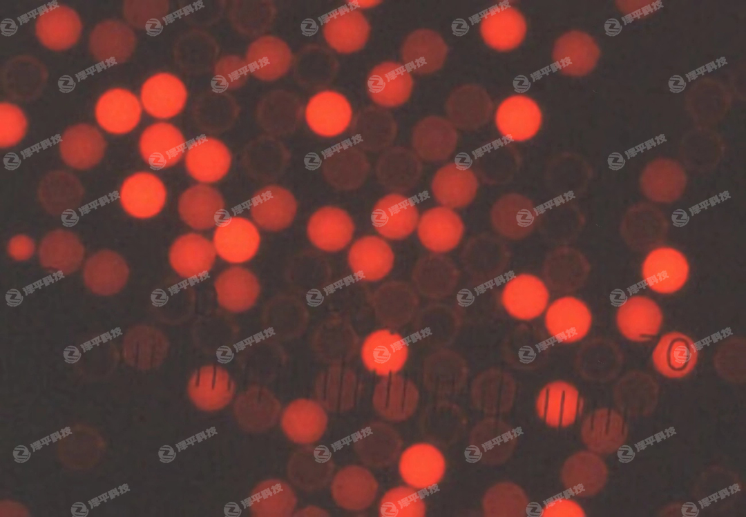 Thermo Scientific Cyto-PlexȻ΢ ƽ