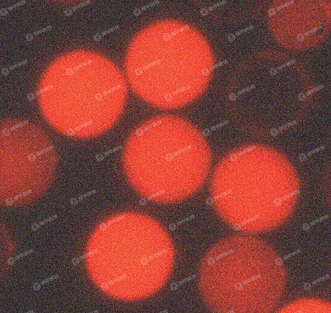Thermo Scientific Fluoro-MaxȻɹ΢ ƽ